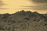 photo thumbnail #11