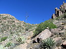 photo thumbnail #14