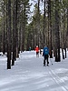 photo thumbnail #7
