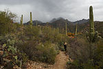 photo thumbnail #2
