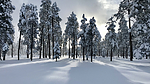 photo thumbnail #13