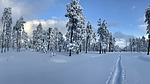 photo thumbnail #14