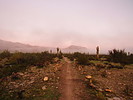 photo thumbnail #10
