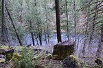 photo thumbnail #6