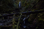 photo thumbnail #15