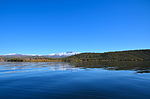 photo thumbnail #7