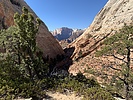 photo thumbnail #4