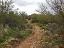 photo thumbnail #7