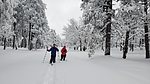 photo thumbnail #4