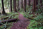 photo thumbnail #10