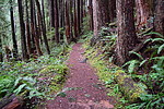 photo thumbnail #11