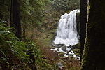 photo thumbnail #15