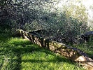 photo thumbnail #14