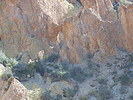 photo thumbnail #11