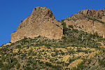photo thumbnail #6