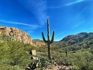 photo thumbnail #14