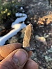 photo thumbnail #4