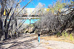 photo thumbnail #1
