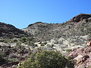 photo thumbnail #13