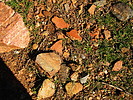 photo thumbnail #15