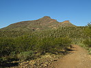photo thumbnail #2