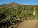 photo thumbnail #5