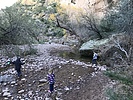 photo thumbnail #1