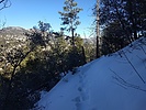 photo thumbnail #1