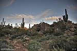 photo thumbnail #4