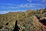 photo thumbnail #8