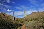photo thumbnail #11