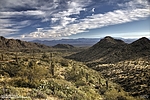 photo thumbnail #13