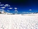 photo thumbnail #10