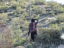 photo thumbnail #8