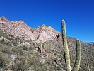 photo thumbnail #1