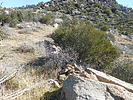 photo thumbnail #12