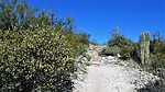 photo thumbnail #3