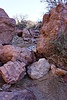 photo thumbnail #6