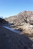 photo thumbnail #15