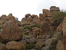 photo thumbnail #10
