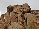 photo thumbnail #13