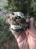 photo thumbnail #9