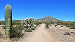 photo thumbnail #11