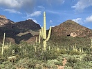 photo thumbnail #11