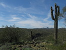 photo thumbnail #12