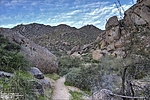 photo thumbnail #9