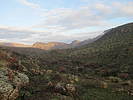 photo thumbnail #3