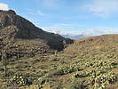 photo thumbnail #4