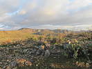 photo thumbnail #10