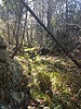 photo thumbnail #3